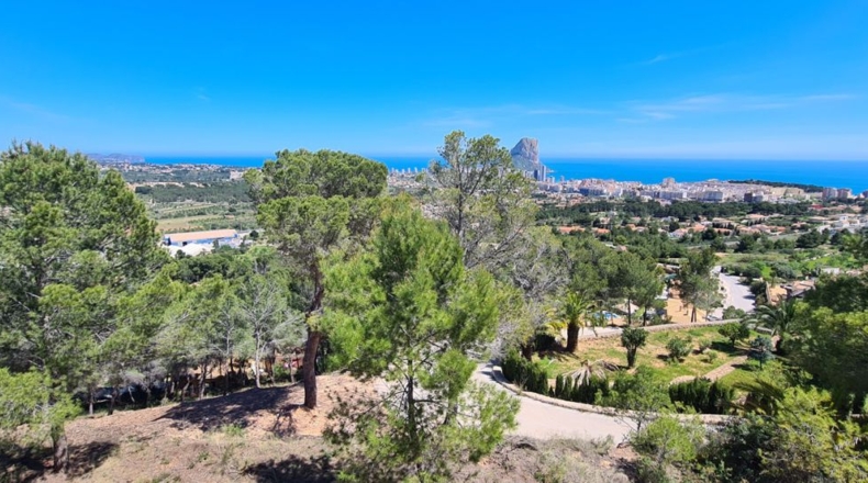 Alicante - Calpe - 2500m2