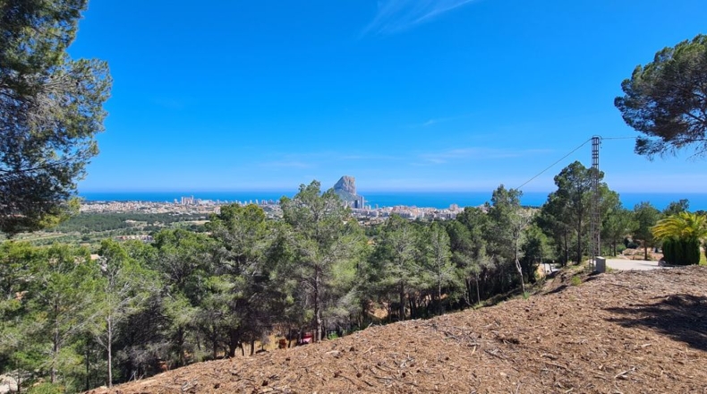 Alicante - Calpe - 2500m2