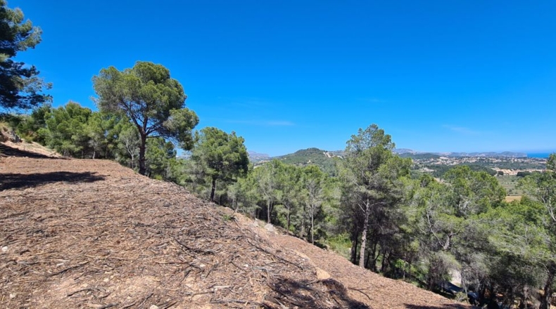 Alicante - Calpe - 2500m2