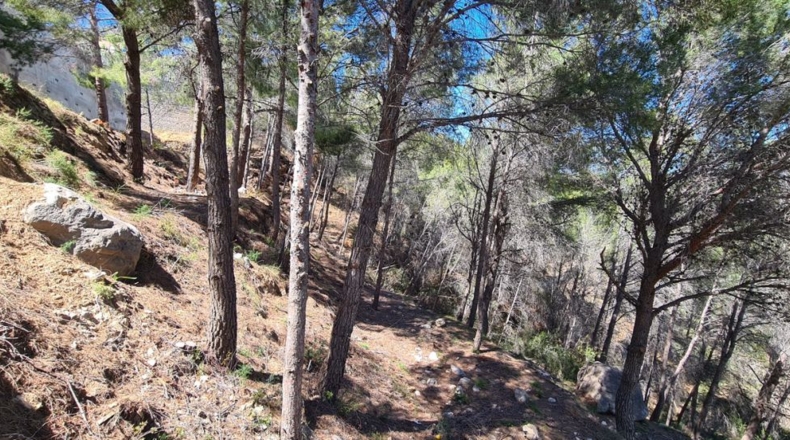 Alicante - Calpe - 2500m2