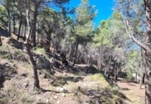 Terreny no urbanitzable en venda a Calp ref.: TR57254 foto