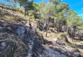 Terreny no urbanitzable en venda a Calp ref.: TR57254 foto