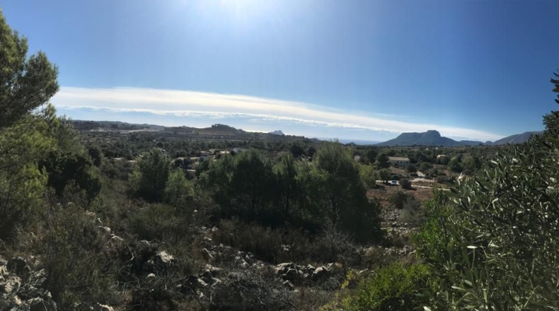 Alicante - Benisa - 14710m2