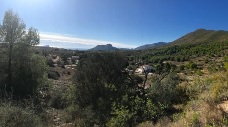 Alicante - Benisa - 14710m2