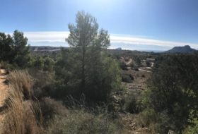Foto 13