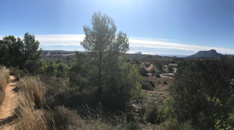 Alicante - Benisa - 14710m2