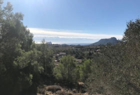 Foto 15
