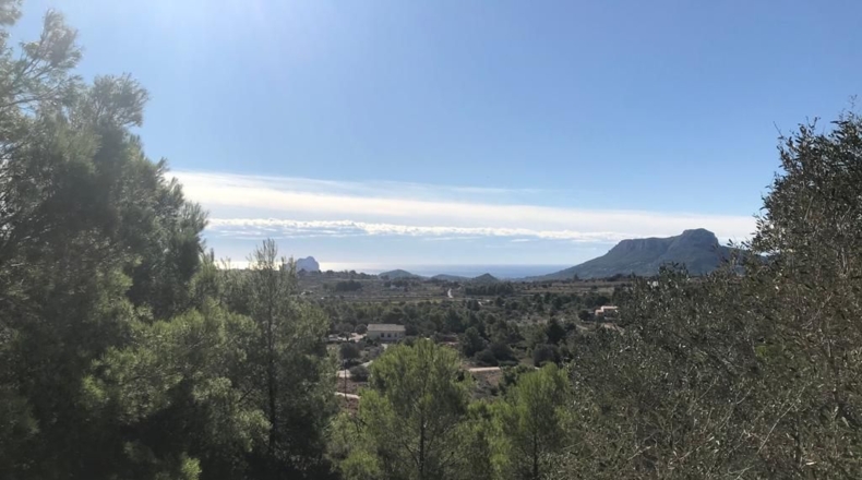 Alicante - Benisa - 14710m2