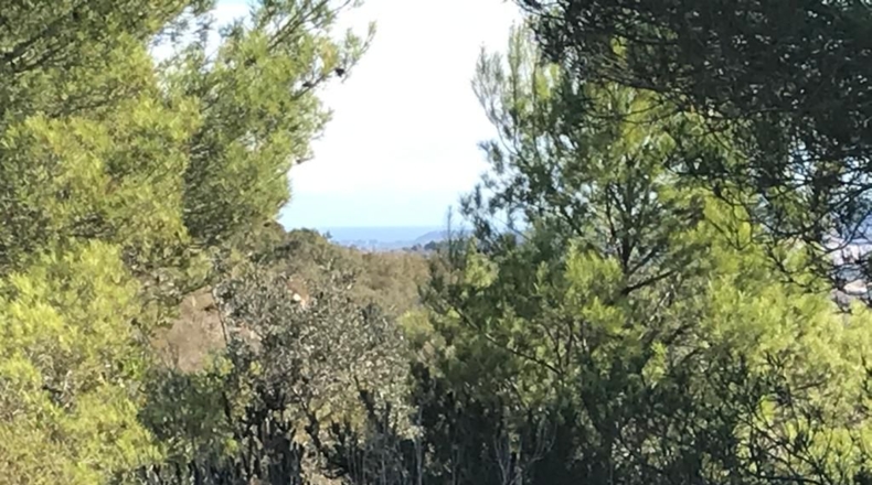 Alicante - Benisa - 14710m2