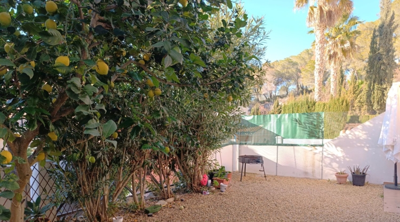 Alicante - Calpe - 90m2