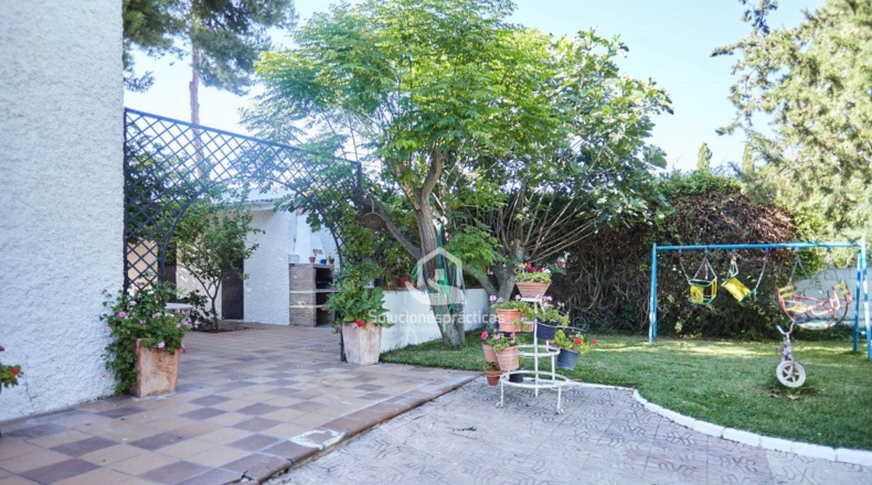 Jaén - Jaén - 1000m2