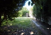 Chalet independiente con terreno en venta en La Guardia de Jaén ref: TR50209 foto