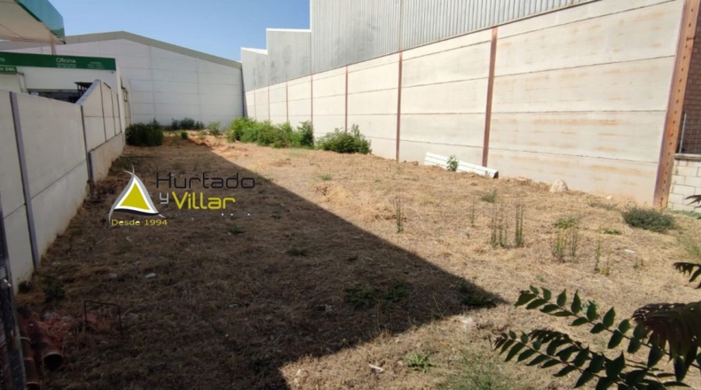 Jaén - Torreperogil - 611m2