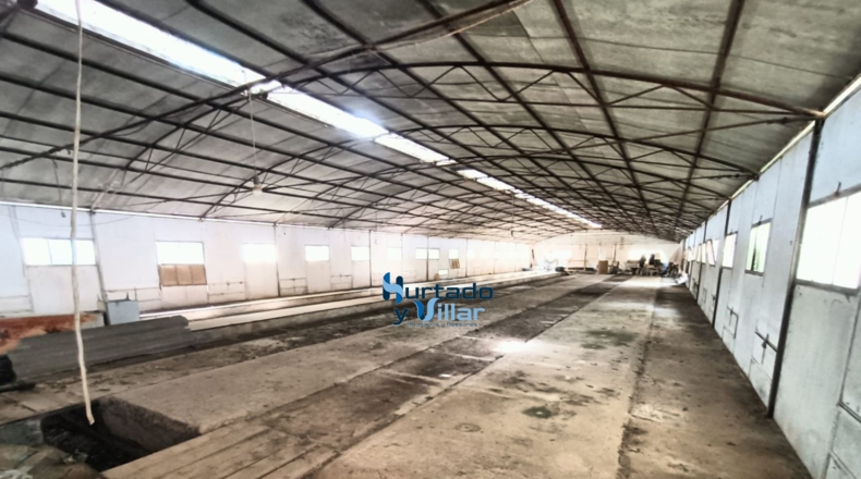 Jaén - Torreperogil - 4000m2