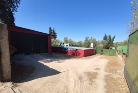 Torreperogil 3181&nbsp;м²