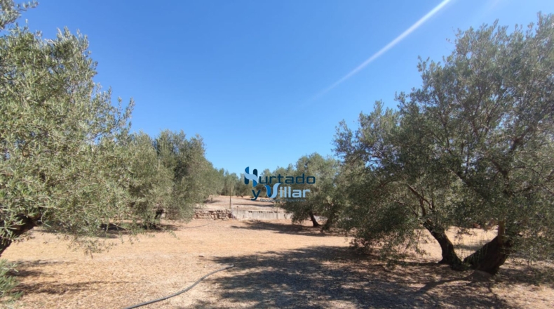 Jaén - Torreperogil - 3181m2