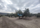 Non-developable land for sale in Torreperogil ref: TR97928 photo