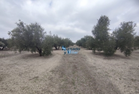 Torreperogil 3281&nbsp;м²