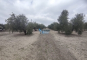 Non-developable land for sale in Torreperogil ref: TR97928 photo