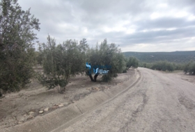 Torreperogil 3281&nbsp;м²