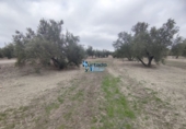 Non-developable land for sale in Torreperogil ref: TR97928 photo