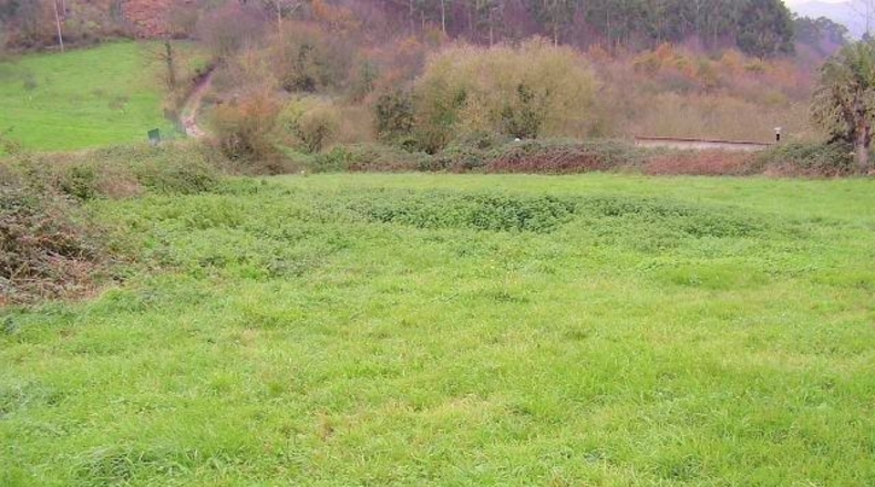Asturias - Llazana - 2591m2