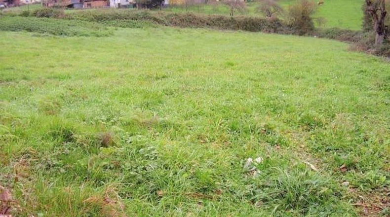 Asturias - Llazana - 2591m2