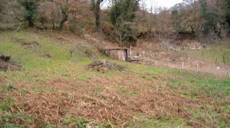 Asturias - Tablado - 100m2