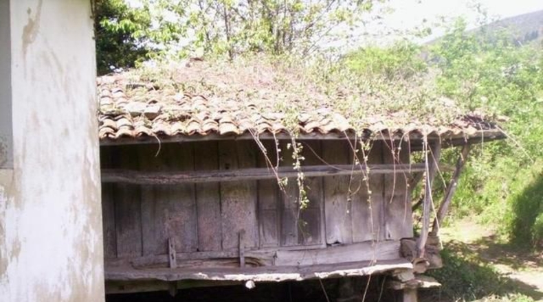Asturias - El Barriu - 500m2