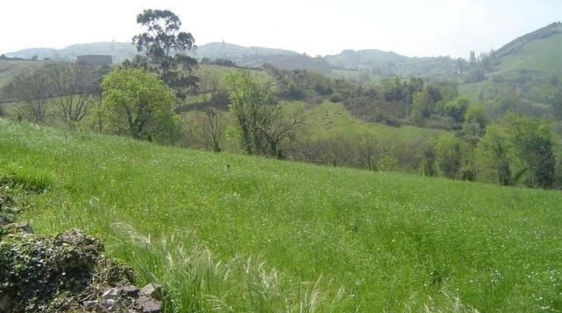 Asturias - Bulse - 800m2
