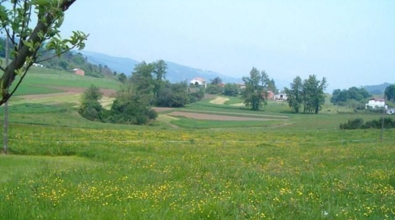Asturias - Moratín - 604m2