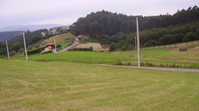 Asturias - La Braña - 610m2