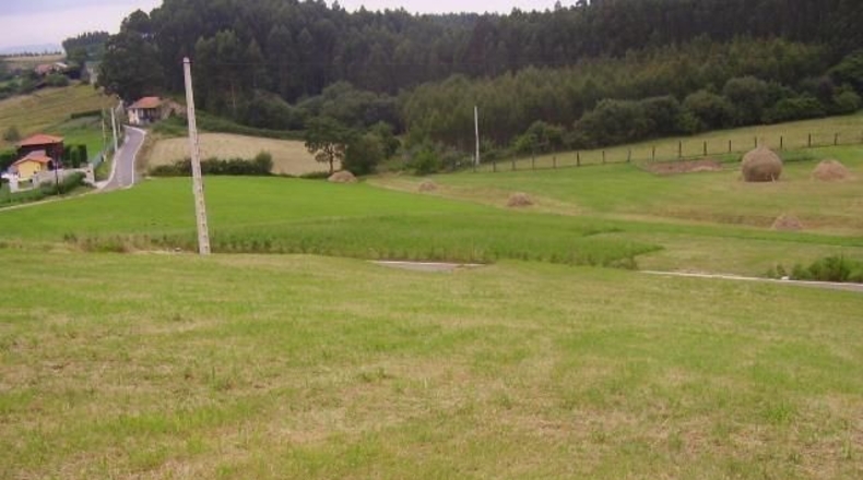 Asturias - La Braña - 610m2