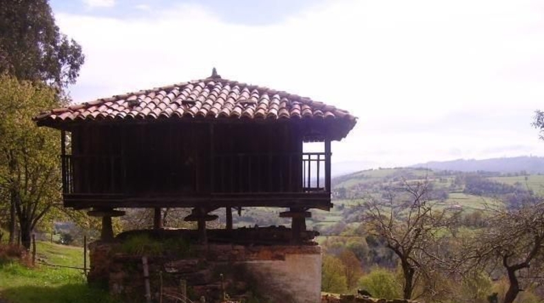 Asturias - Samartín (Gurullés) - 90000m2