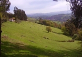 Finca rústica en venda a Grado ref.: TR17648 foto