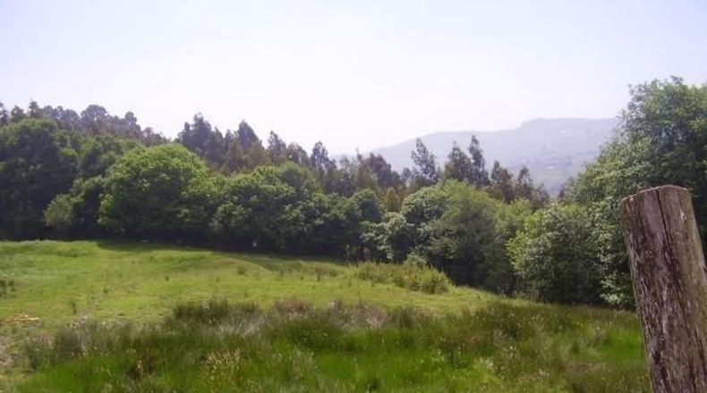 Asturias - El Pozón - 1670m2