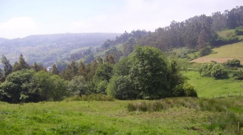 Asturias - El Pozón - 1670m2
