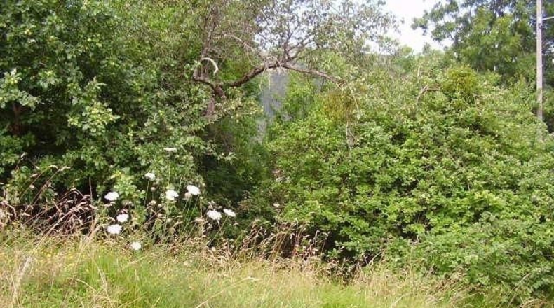 Asturias - Candamín - 250m2