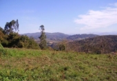 Sòl urbà en venda a Lazana ref.: TR54131 foto