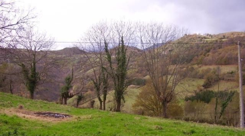 Asturias - Bustiellu - 800m2