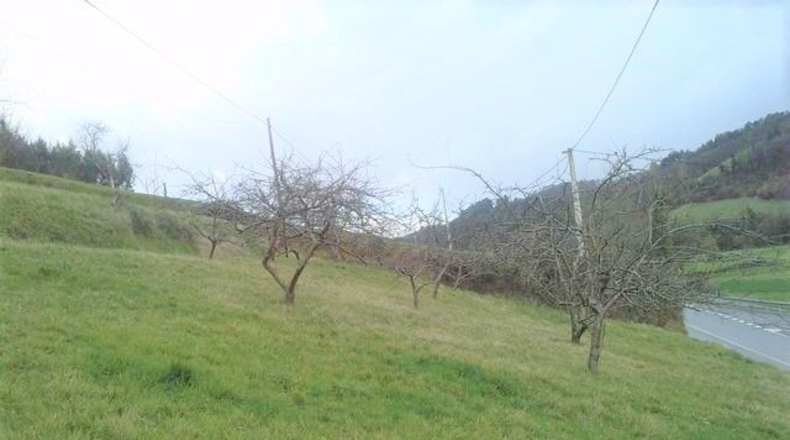 Asturias - Llandriu - 480m2