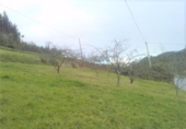 Sòl urbà en venda a Trasmonte ref.: TR54129 foto