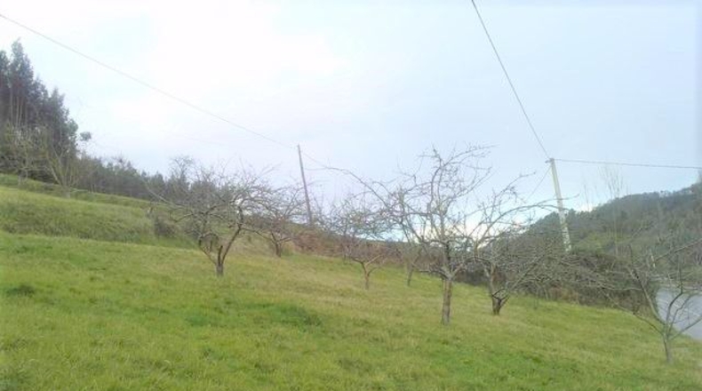 Asturias - Llandriu - 480m2