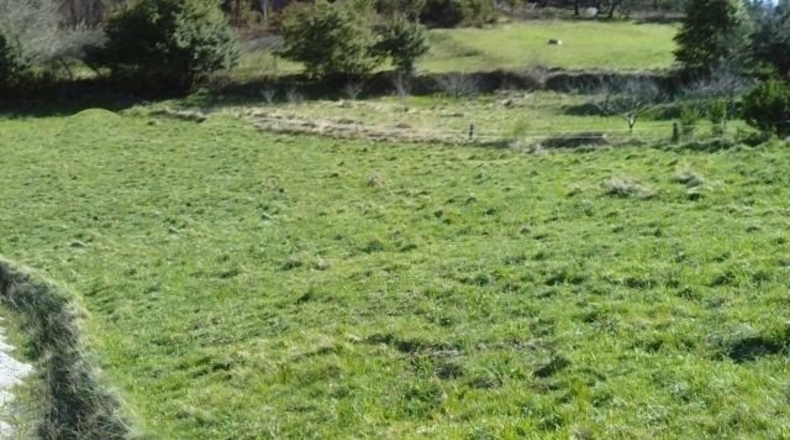 Asturias - Rubines - 972m2