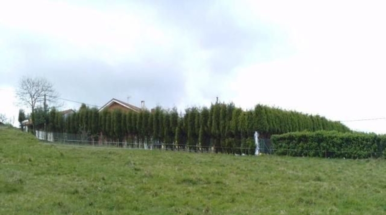 Asturias - Rubines - 972m2