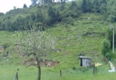 Sòl urbà en venda a Lazana ref.: TR54127 foto