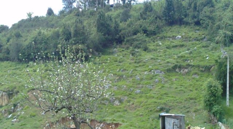 Asturias - Bolgues - 6000m2