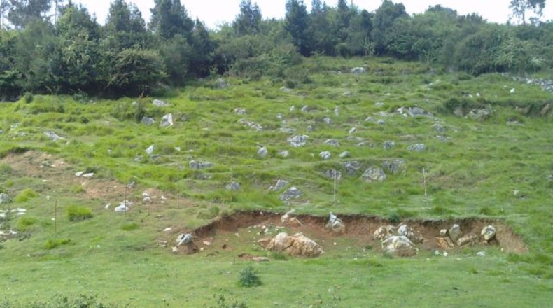 Asturias - Bolgues - 6000m2
