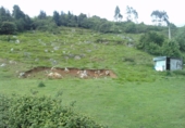 Sòl urbà en venda a Lazana ref.: TR54127 foto