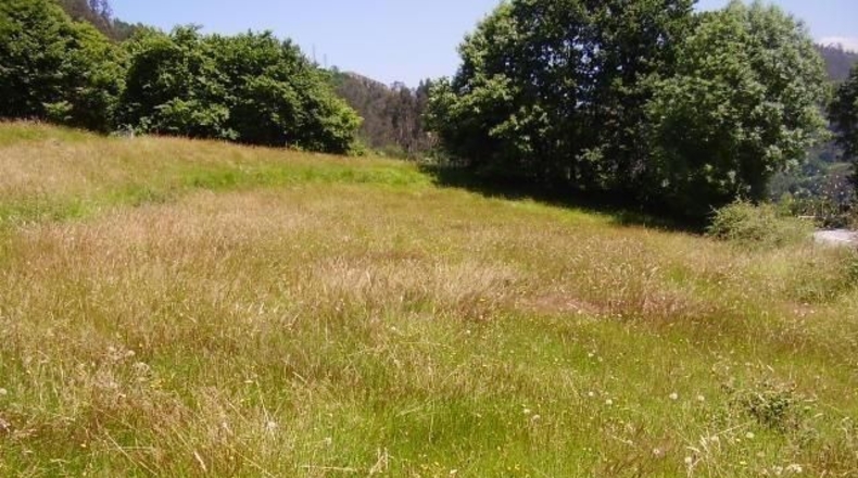 Asturias - El Barriu Azul - 1200m2